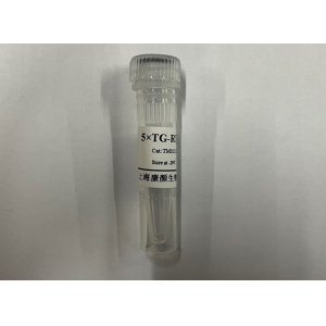 TGFast™ 反转录试剂盒